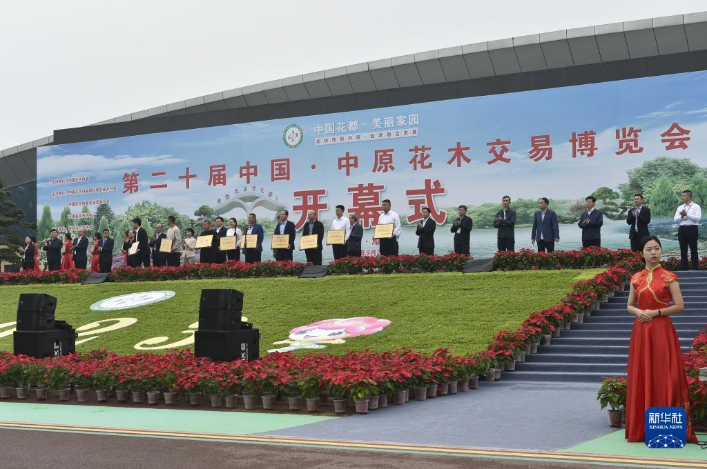 星力捕鱼图片